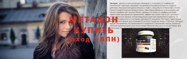 прущие грибы Корсаков
