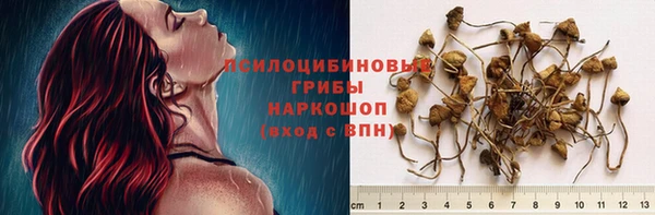 каннабис Алексеевка