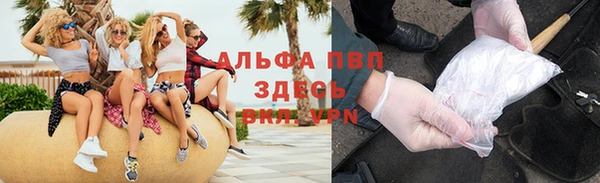 гидра Алексин