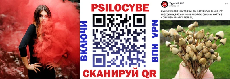 Галлюциногенные грибы Cubensis  Чекалин 